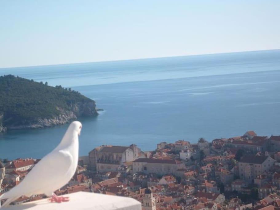 Romantic Ap,With Amazing View Dubrovnik Ngoại thất bức ảnh